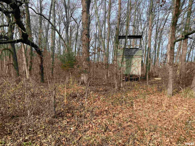 $242,000 | East 1650th Avenue, Hutsonville, IL 62433