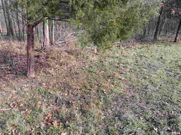 $242,000 | East 1650th Avenue, Hutsonville, IL 62433