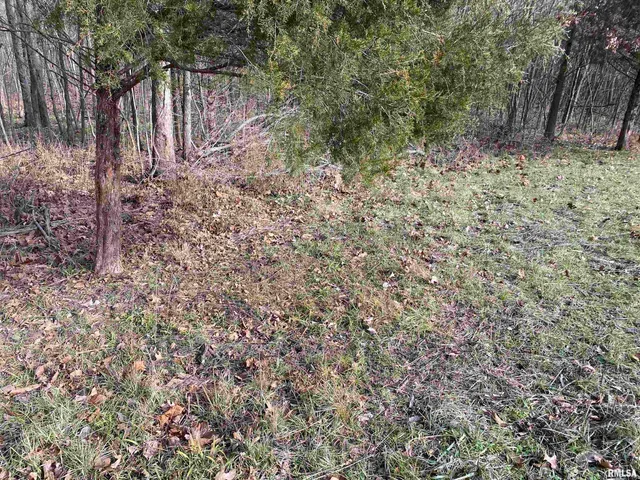 $242,000 | East 1650th Avenue, Hutsonville, IL 62433