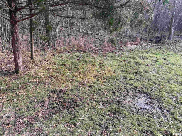 $242,000 | East 1650th Avenue, Hutsonville, IL 62433