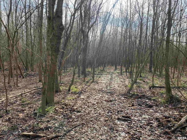 $242,000 | East 1650th Avenue, Hutsonville, IL 62433