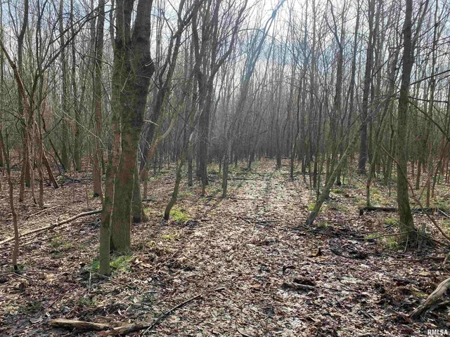 $242,000 | East 1650th Avenue, Hutsonville, IL 62433