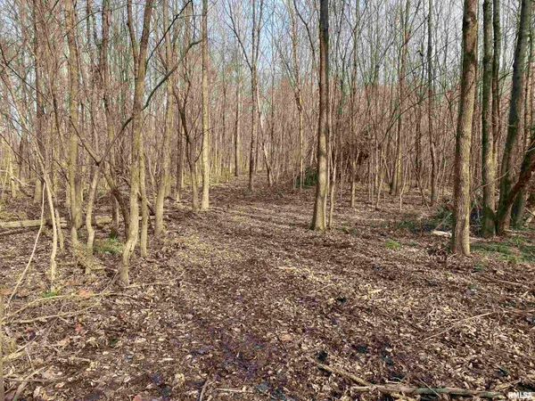 $242,000 | East 1650th Avenue, Hutsonville, IL 62433