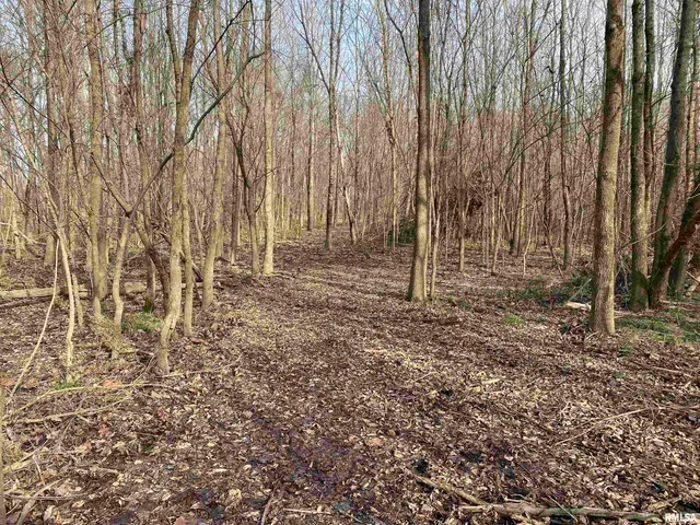 $242,000 | East 1650th Avenue, Hutsonville, IL 62433