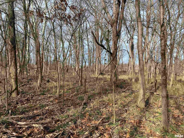 $242,000 | East 1650th Avenue, Hutsonville, IL 62433