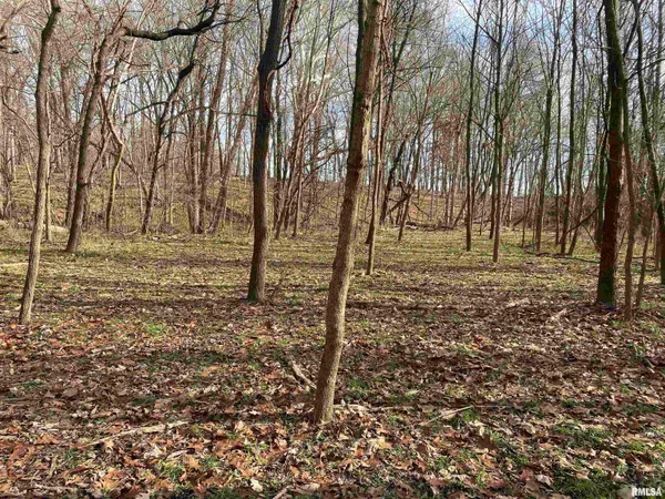 $242,000 | East 1650th Avenue, Hutsonville, IL 62433