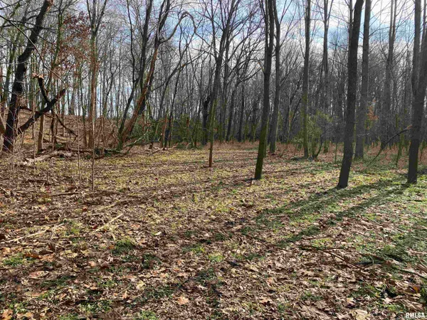 $242,000 | East 1650th Avenue, Hutsonville, IL 62433