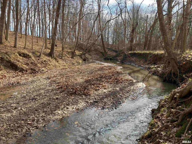 $242,000 | East 1650th Avenue, Hutsonville, IL 62433