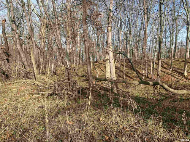 $242,000 | East 1650th Avenue, Hutsonville, IL 62433