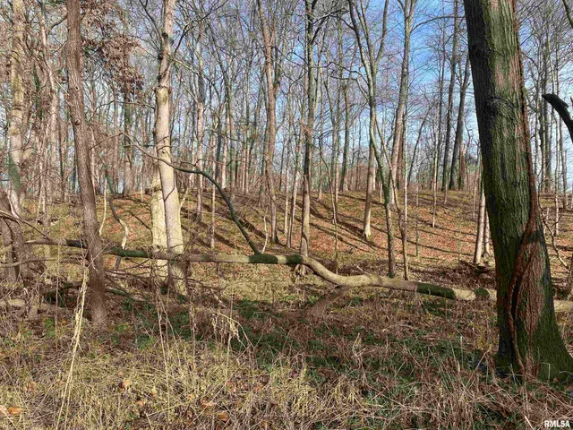 $242,000 | East 1650th Avenue, Hutsonville, IL 62433