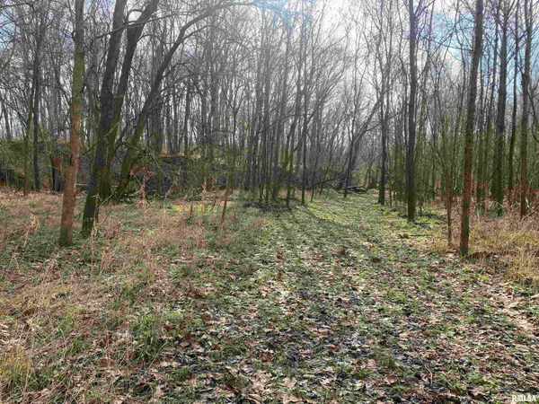 $242,000 | East 1650th Avenue, Hutsonville, IL 62433