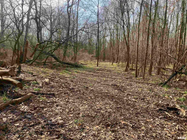 $242,000 | East 1650th Avenue, Hutsonville, IL 62433