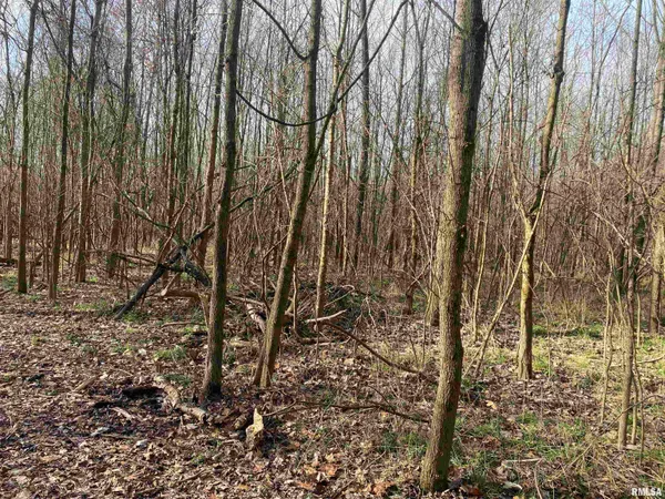 $242,000 | East 1650th Avenue, Hutsonville, IL 62433