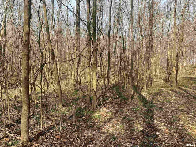 $242,000 | East 1650th Avenue, Hutsonville, IL 62433