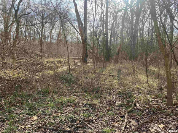 $242,000 | East 1650th Avenue, Hutsonville, IL 62433