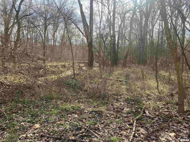 $242,000 | East 1650th Avenue, Hutsonville, IL 62433