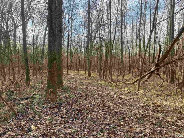 $242,000 | East 1650th Avenue, Hutsonville, IL 62433