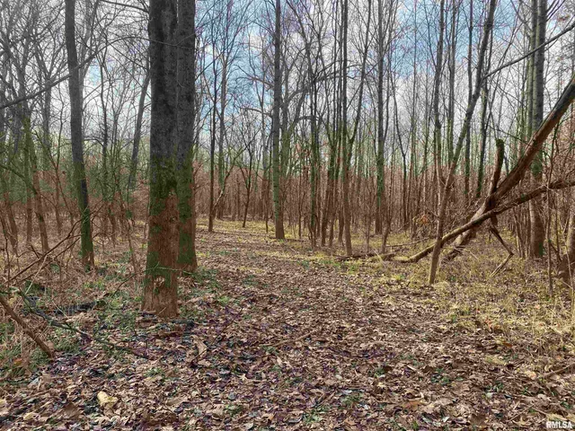 $242,000 | East 1650th Avenue, Hutsonville, IL 62433