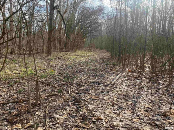 $242,000 | East 1650th Avenue, Hutsonville, IL 62433