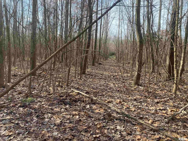 $242,000 | East 1650th Avenue, Hutsonville, IL 62433