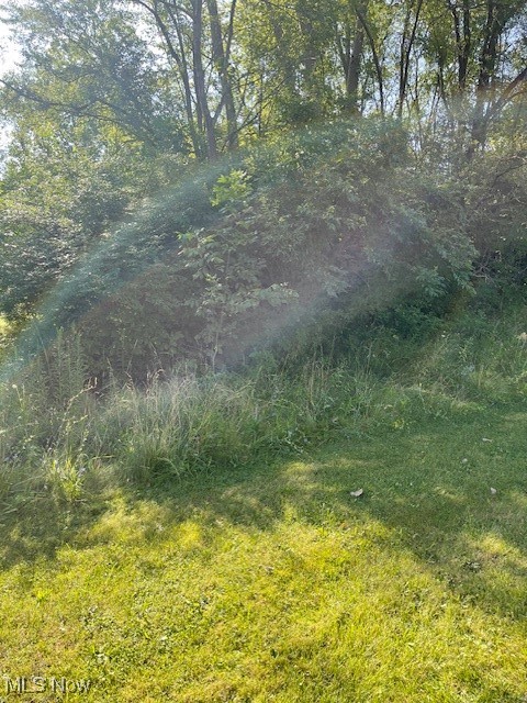 Brecksville Road Independence, OH 44131 - Photo 3 of 4 View of nature