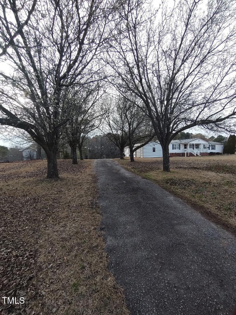 2960 Federal Road Benson, NC 27504 - Photo 3 of 45 Driveway Lined with Trees