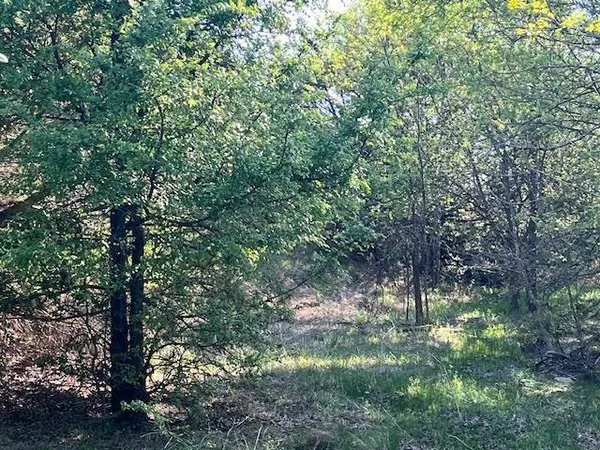 $205,000 | 207 Morning Dove Court, Cresson, TX 76035