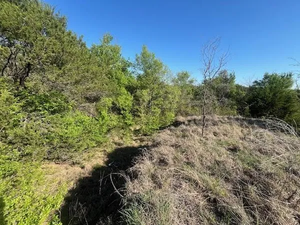 $205,000 | 207 Morning Dove Court, Cresson, TX 76035