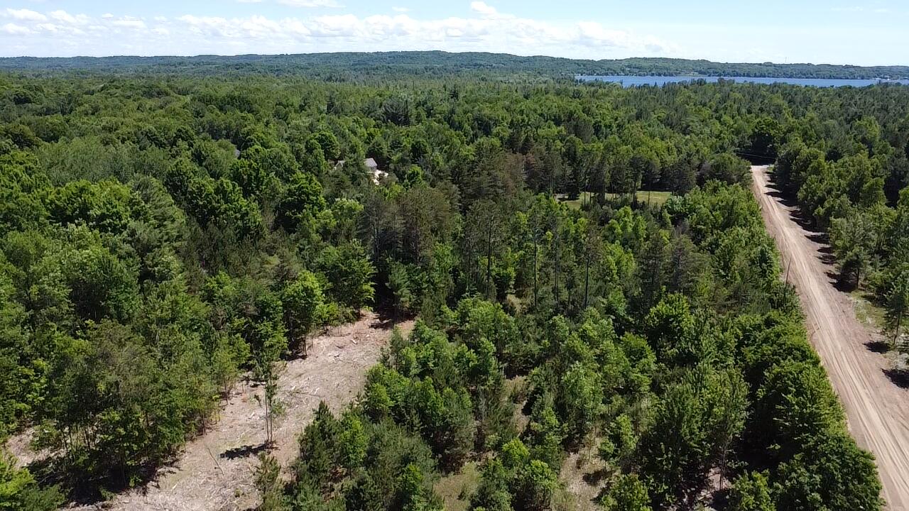 5.67-acres Norconk Road Bear Lake, MI 49614 - Photo 2 of 18 2026-06-22-15-01-12-867