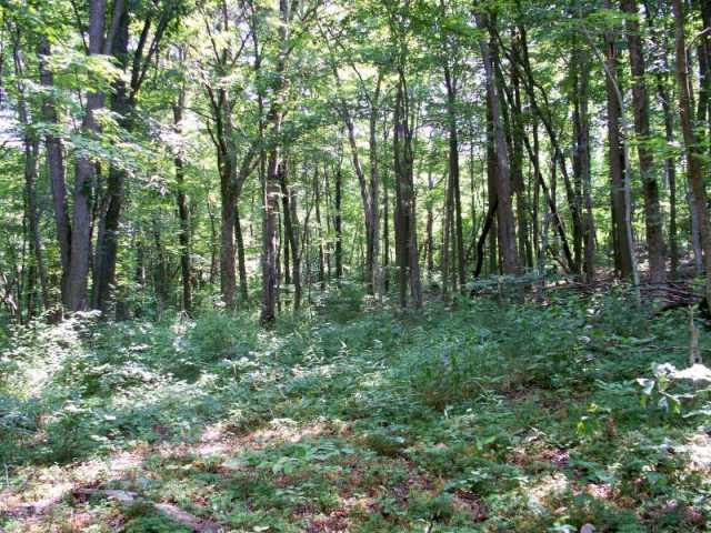 18 West Buckingham Road Logan, OH 43138 - Photo 3 of 9 Gallery Image 3