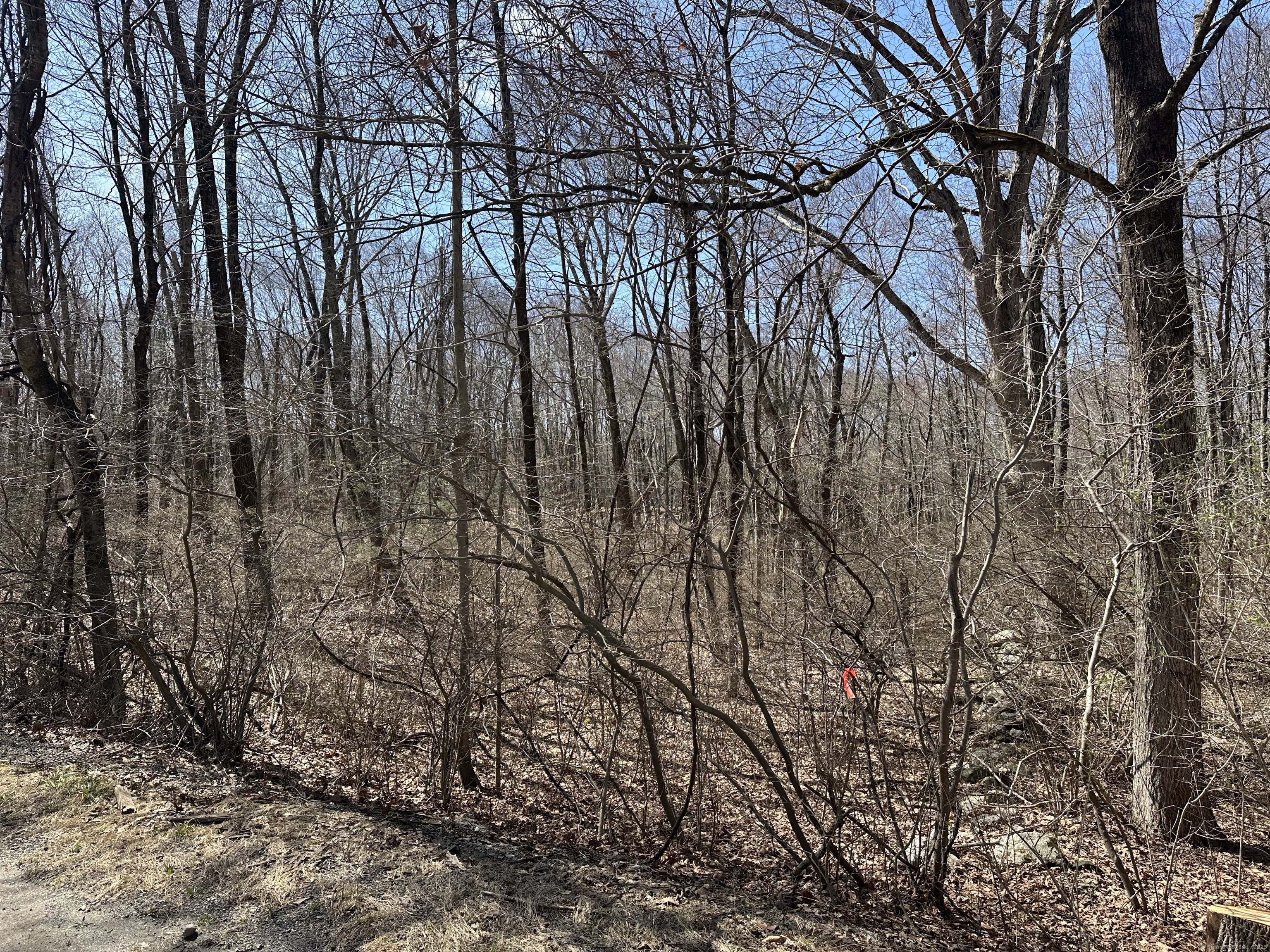 0 Cowles Road Woodbury, CT 06798 - Photo 11 of 12