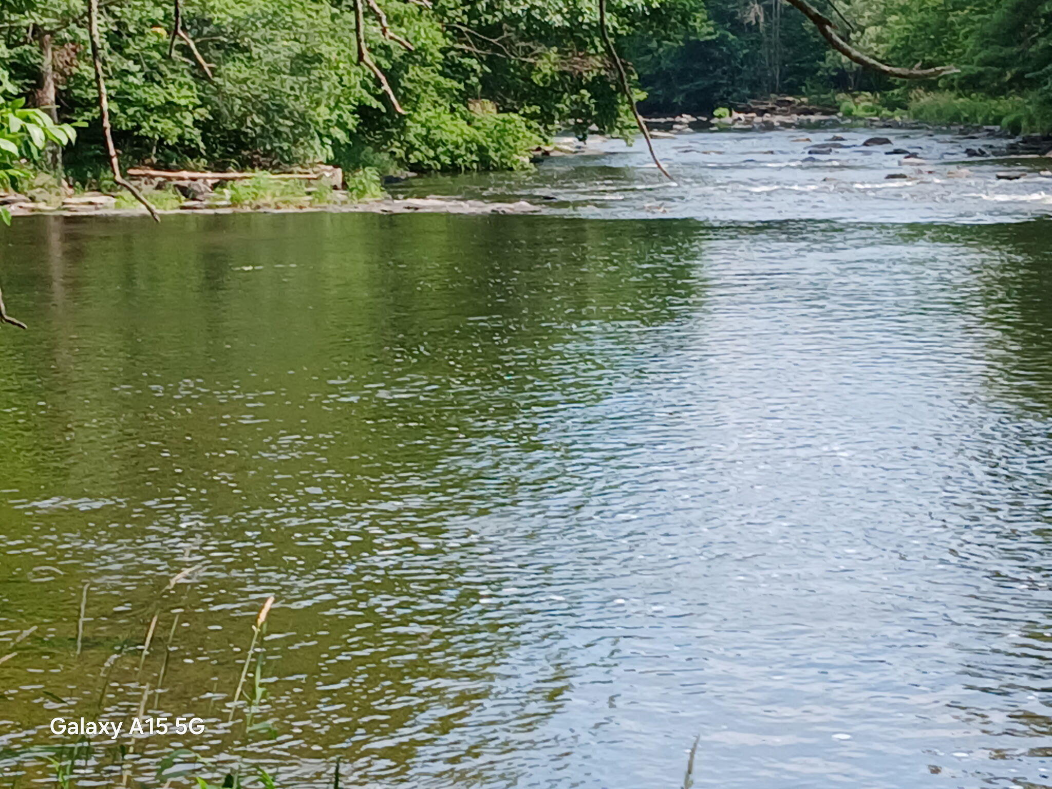 141 Perry Mills Road Champlain, NY 12919 - Photo 4 of 10 1161683538449367711