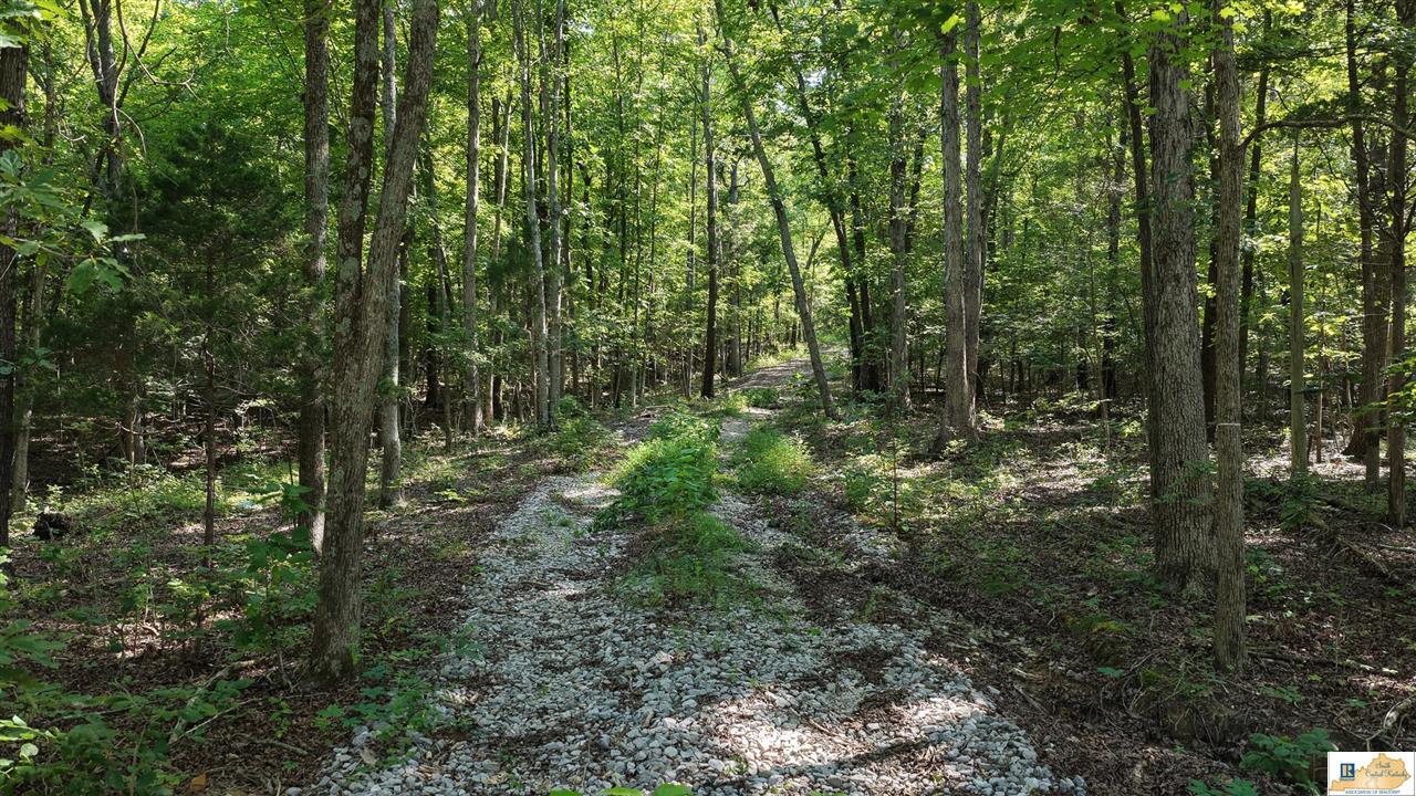 13474 Grayson Springs Road Clarkson, KY 42726 - Photo 7 of 36 Gallery Image 7