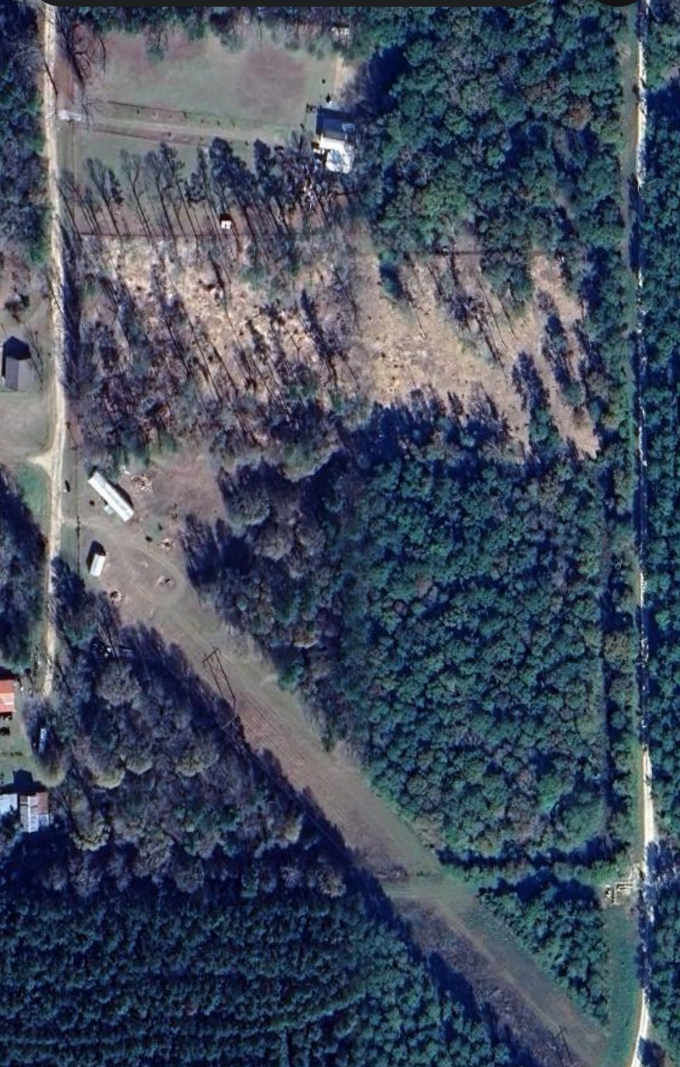 1353 Plum Pudding Road Livingston, TX 77351 - Photo 2 of 4