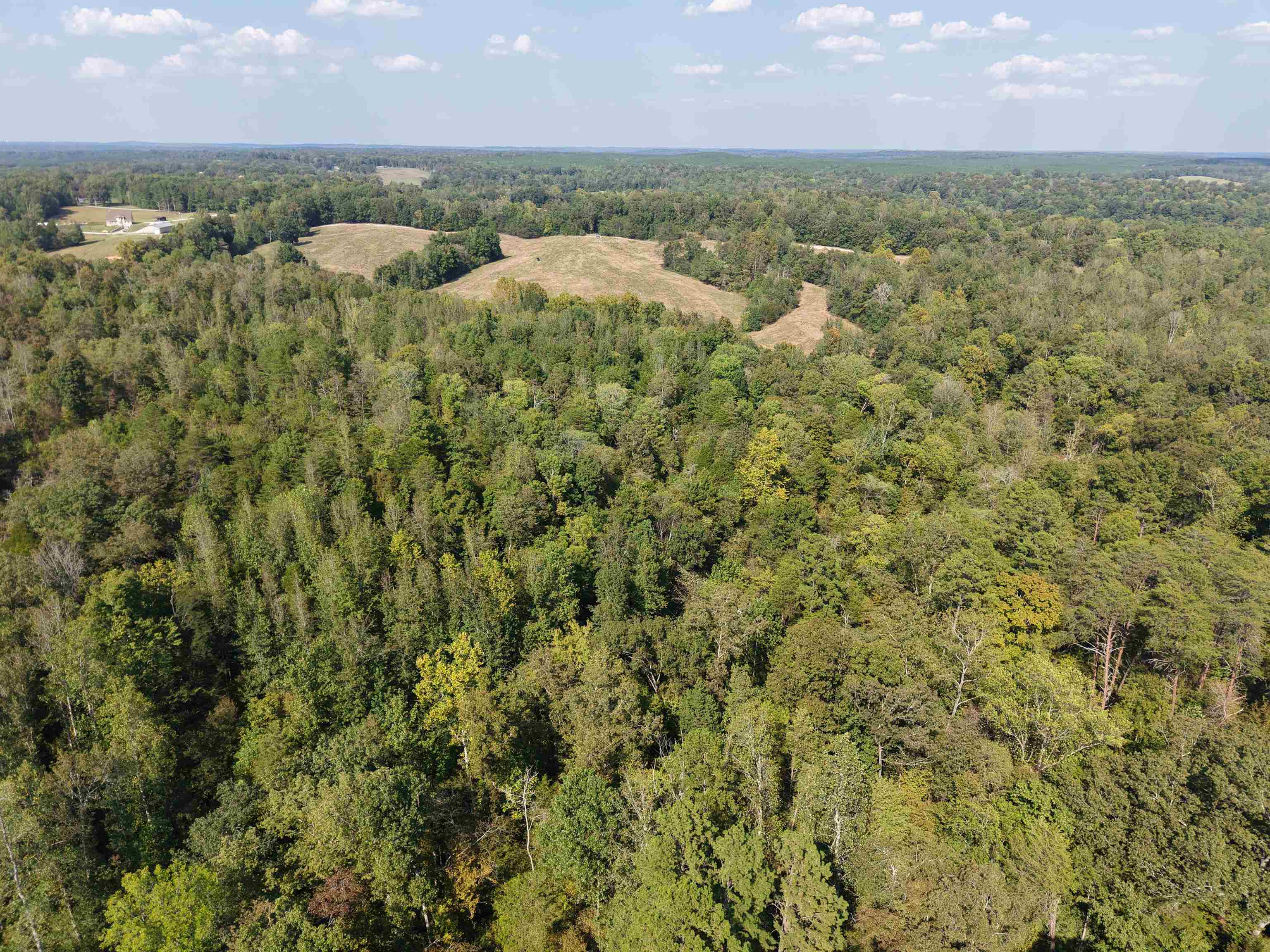 0 3 Way Road Decaturville, TN 38329 - Photo 11 of 24 Gallery Image 11