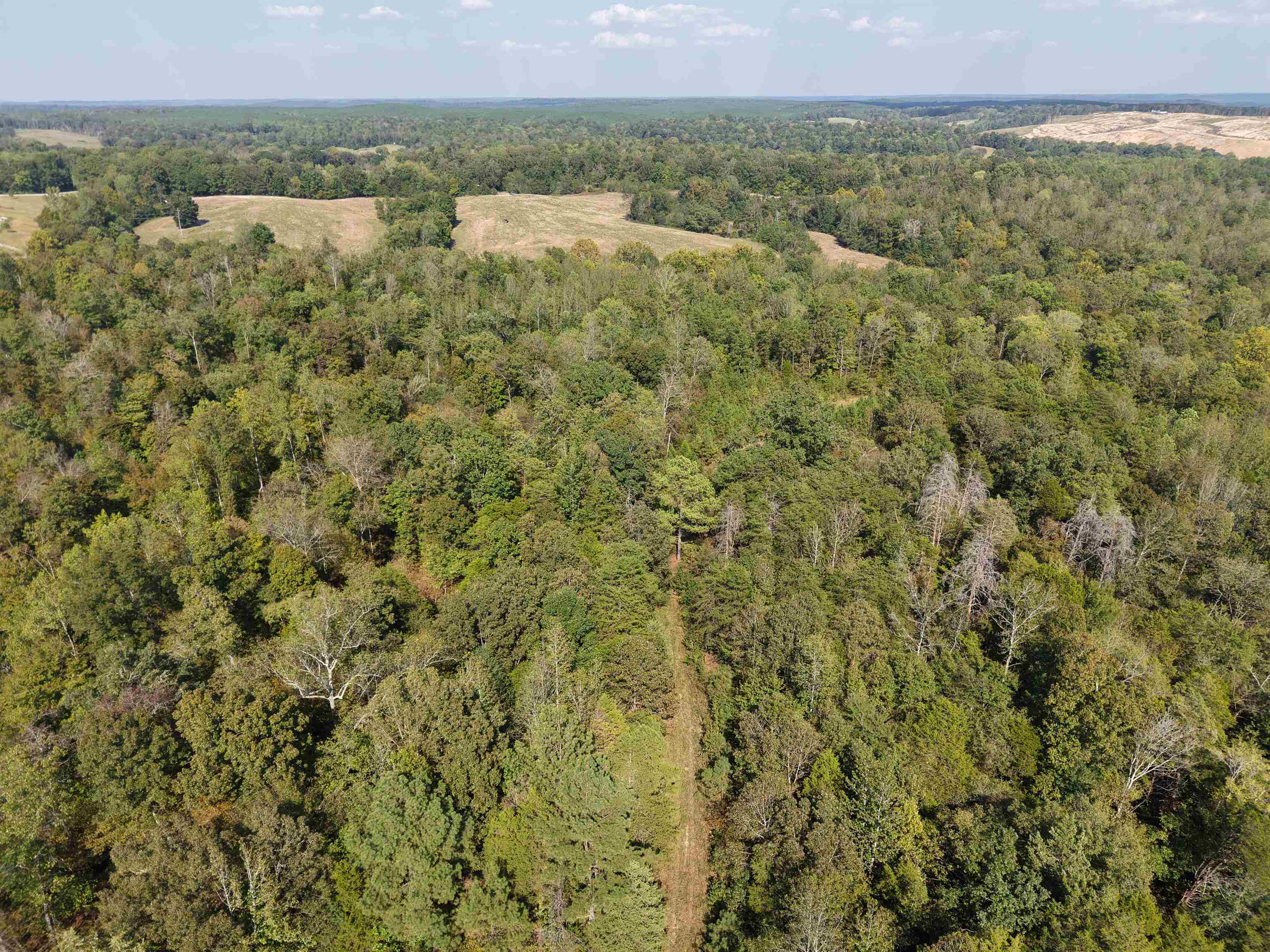 0 3 Way Road Decaturville, TN 38329 - Photo 12 of 24 Gallery Image 12