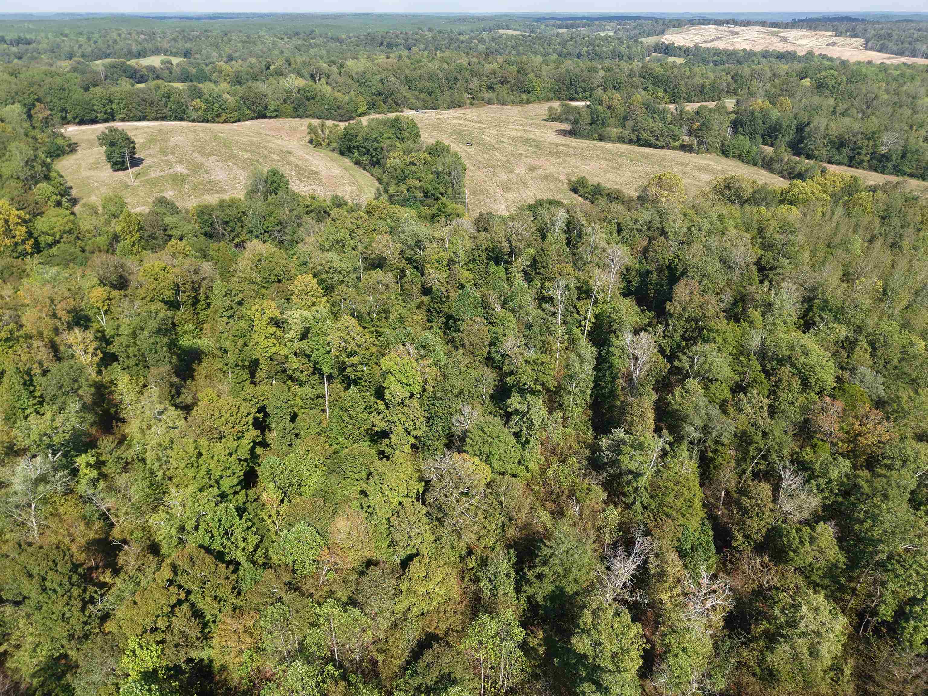 0 3 Way Road Decaturville, TN 38329 - Photo 13 of 24 Gallery Image 13