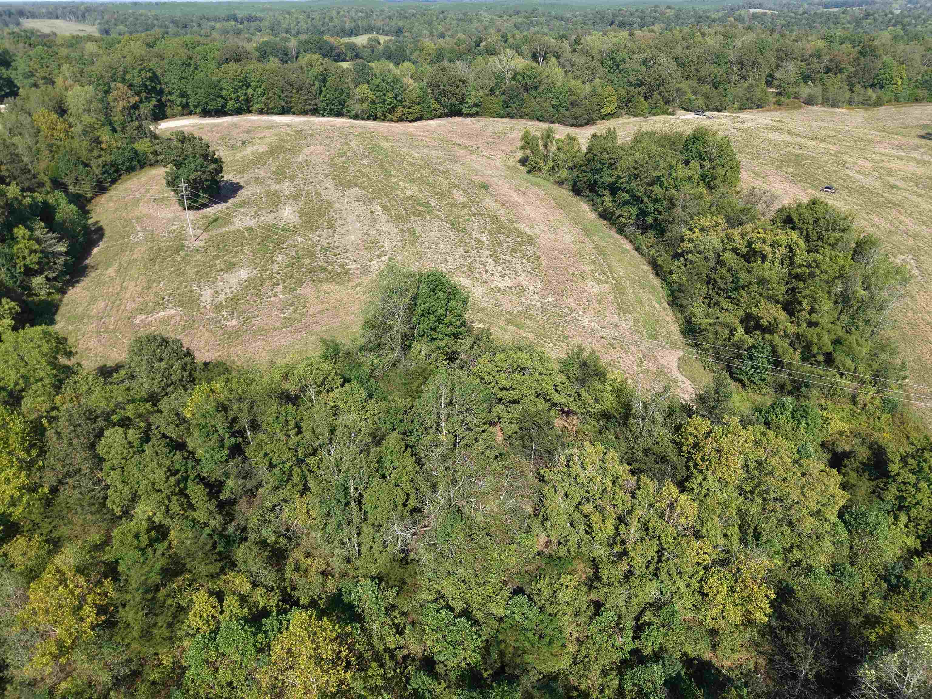 0 3 Way Road Decaturville, TN 38329 - Photo 14 of 24 Gallery Image 14