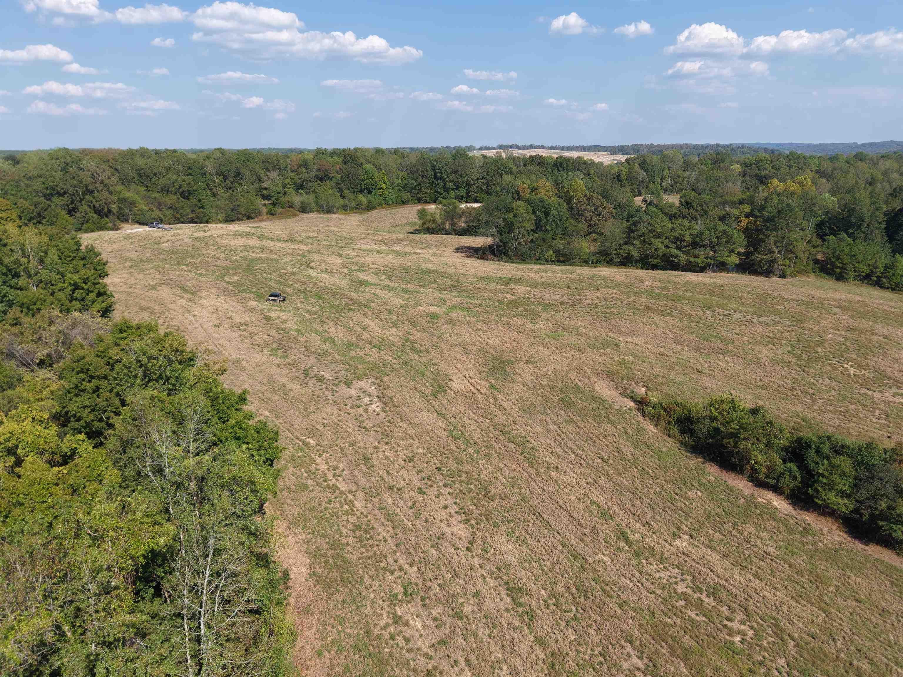 0 3 Way Road Decaturville, TN 38329 - Photo 15 of 24 Gallery Image 15