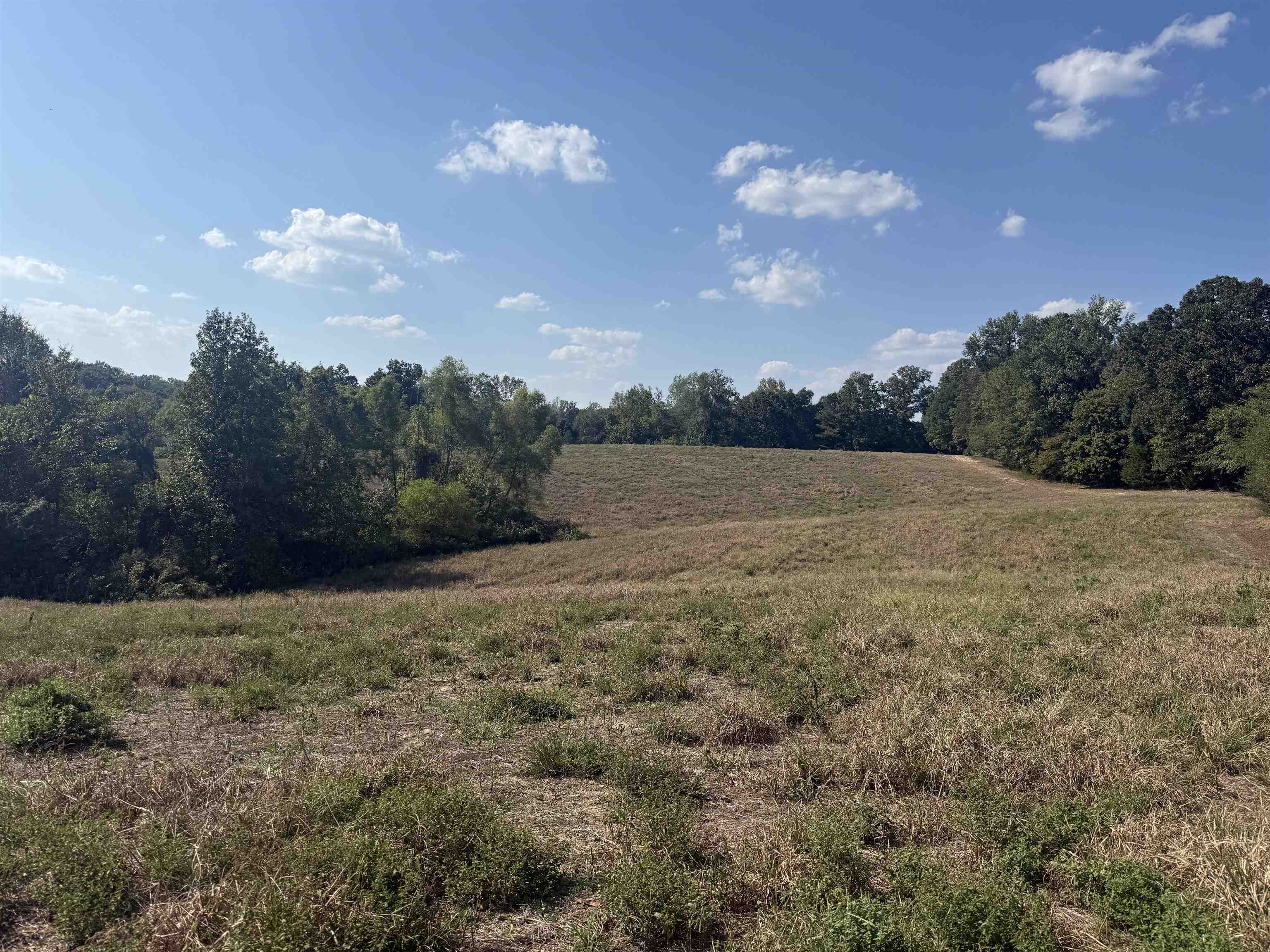 0 3 Way Road Decaturville, TN 38329 - Photo 16 of 24 Gallery Image 16
