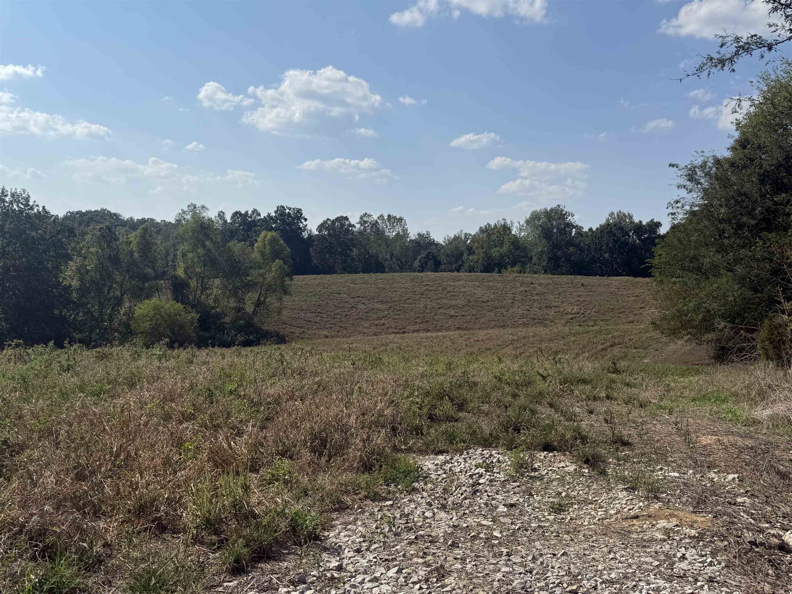 0 3 Way Road Decaturville, TN 38329 - Photo 17 of 24 Gallery Image 17