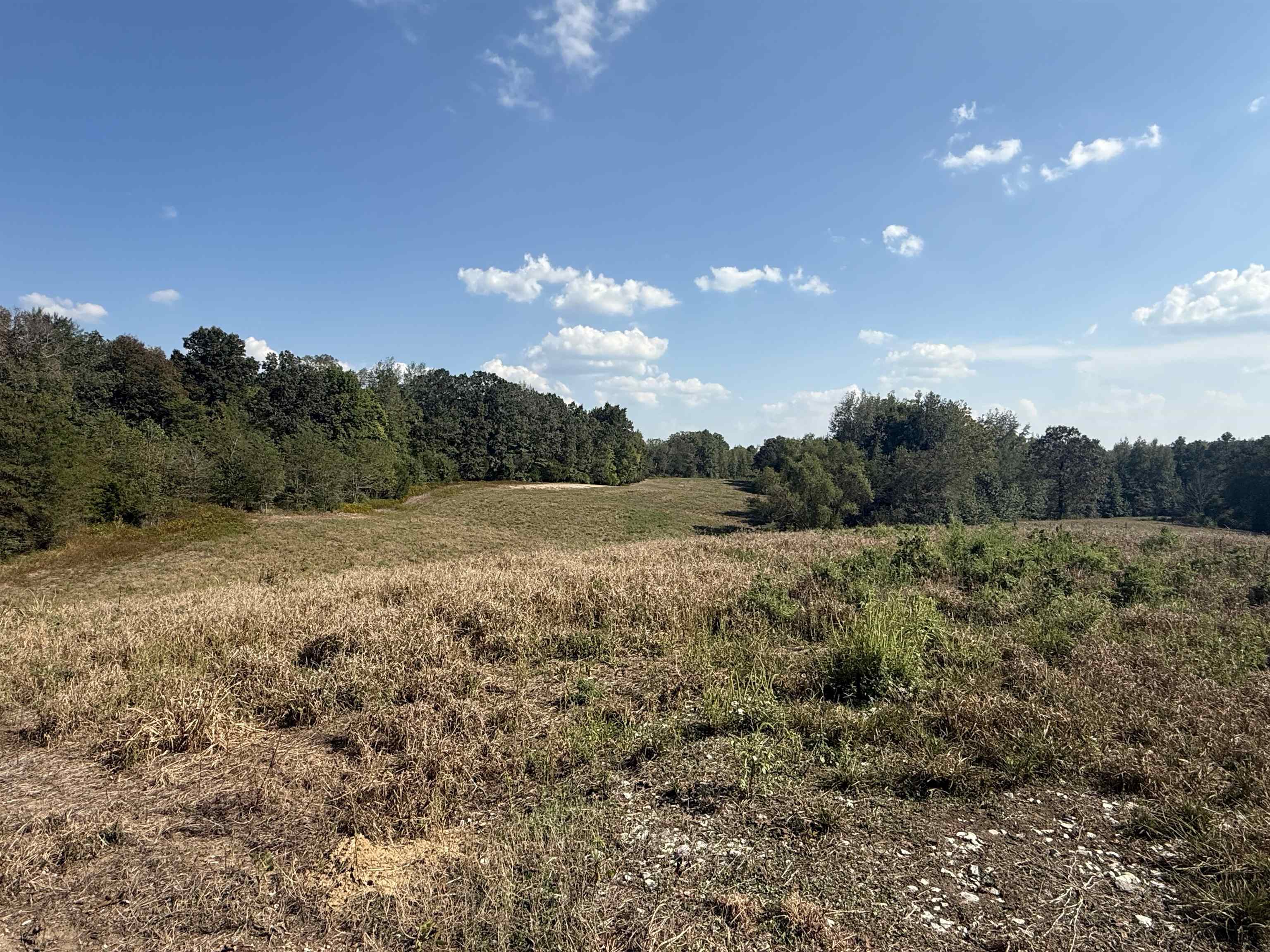 0 3 Way Road Decaturville, TN 38329 - Photo 18 of 24 Gallery Image 18