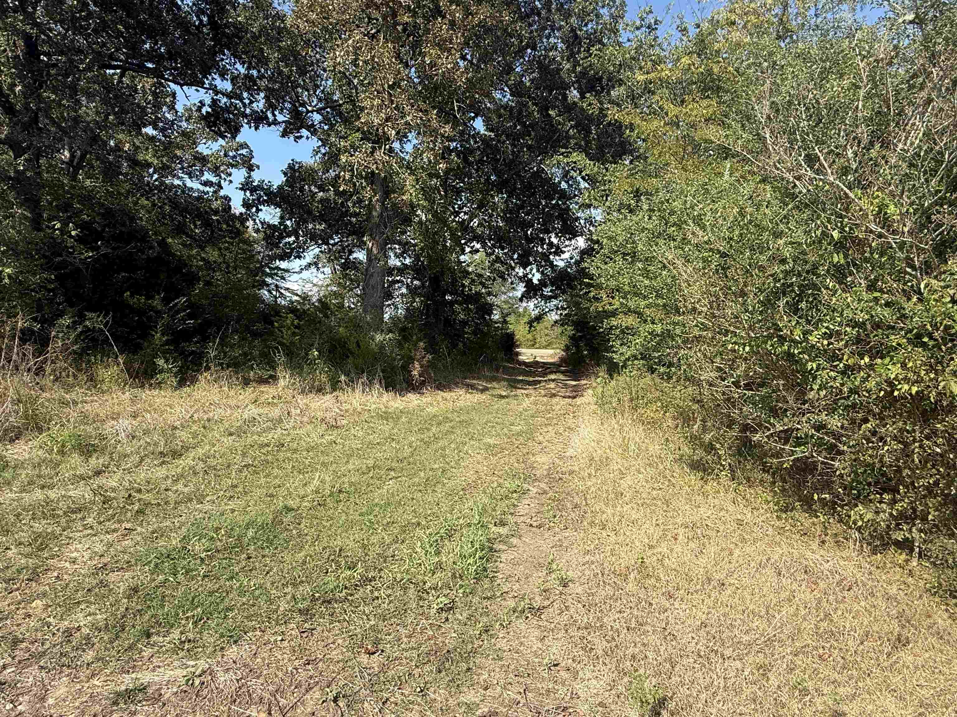 0 3 Way Road Decaturville, TN 38329 - Photo 19 of 24 Gallery Image 19