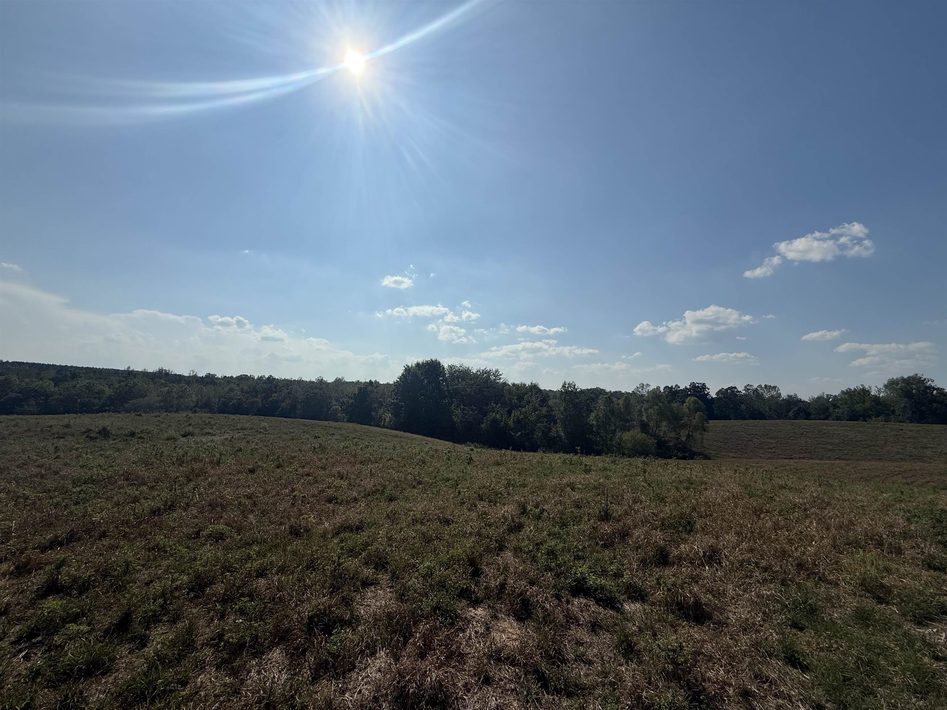 0 3 Way Road Decaturville, TN 38329 - Photo 20 of 24 Gallery Image 20
