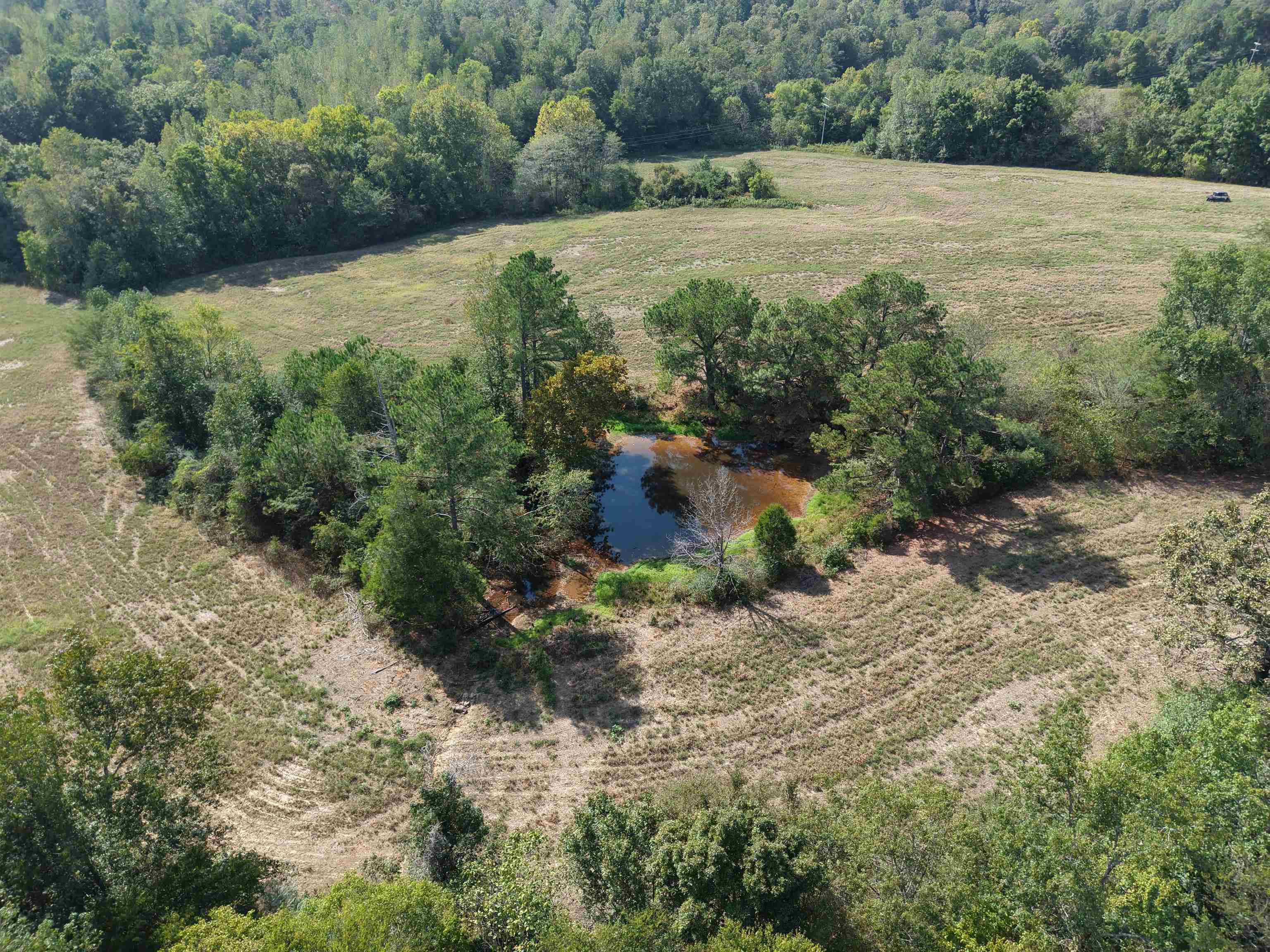 0 3 Way Road Decaturville, TN 38329 - Photo 8 of 24 Gallery Image 8