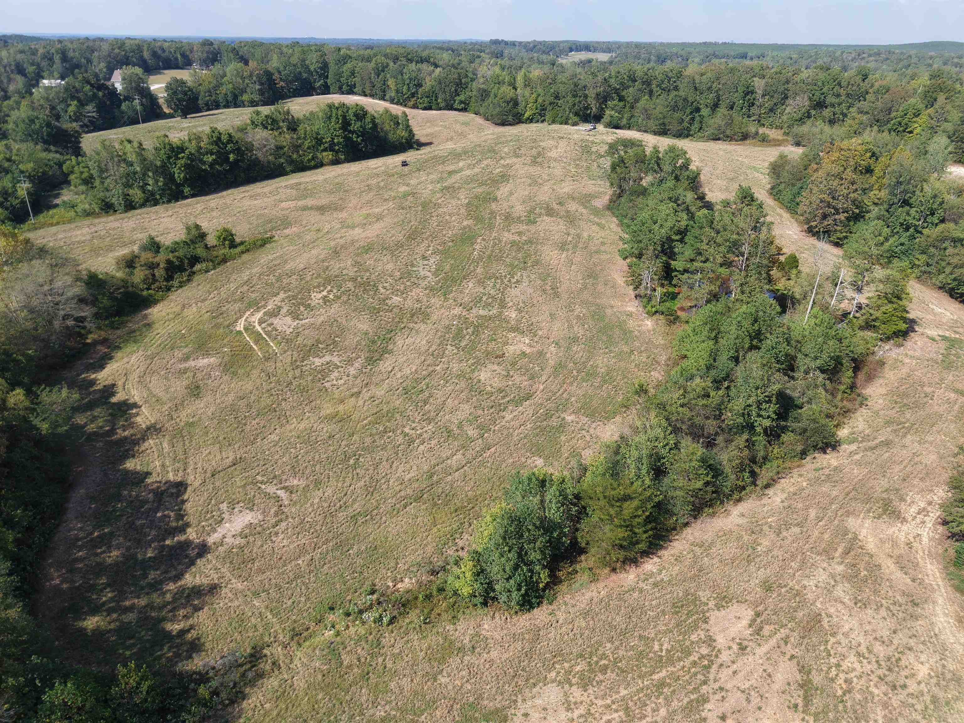0 3 Way Road Decaturville, TN 38329 - Photo 9 of 24 Gallery Image 9