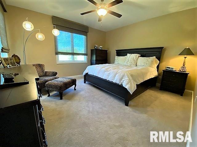 2109 Brookstone Drive Springfield, IL 62711 - Photo 21 of 33 Gallery Image 21
