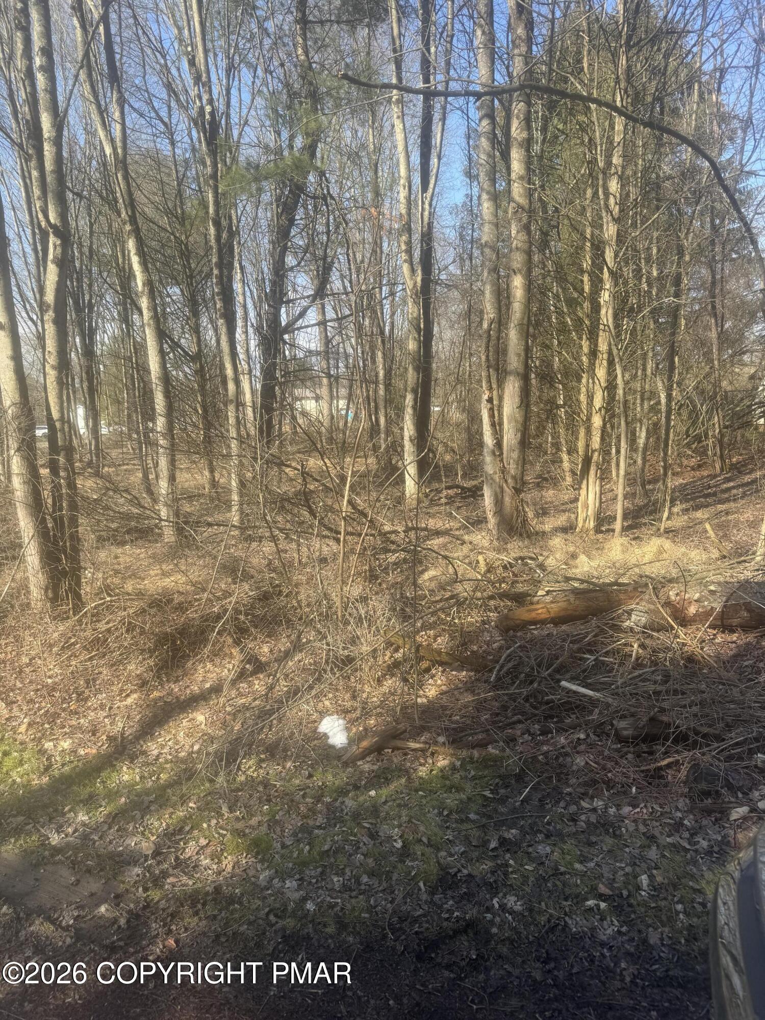 B14 Walnut Road Kunkletown, PA 18058 - Photo 2 of 5 a view of yard with trees