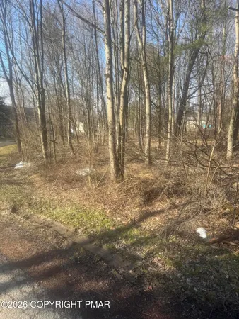 a view of yard with trees