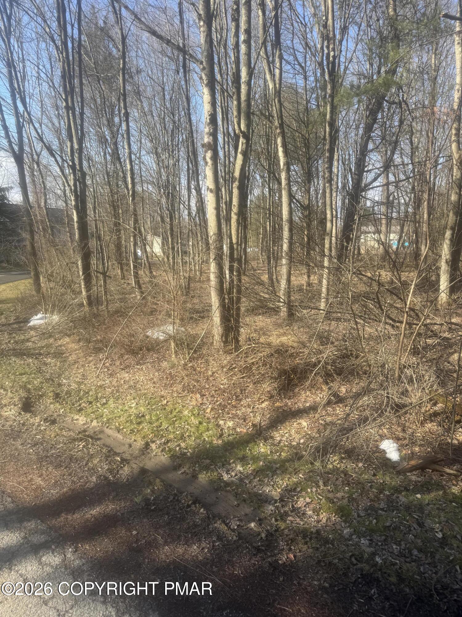 B14 Walnut Road Kunkletown, PA 18058 - Photo 3 of 5 a view of yard with trees
